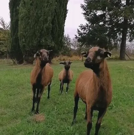 度假居 Le Petit Lambertie *