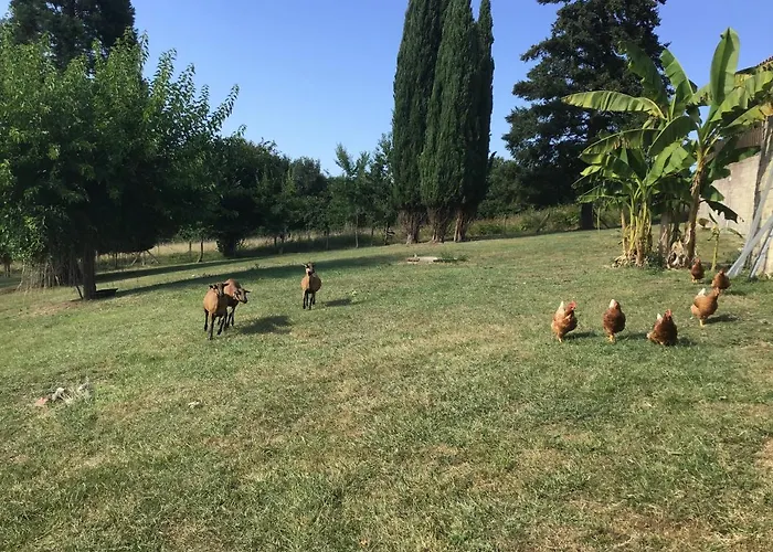 Vakantiehuis Le Petit Lambertie Vergt